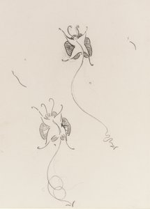 Two Whister Butterflies by James Abbott McNeill Whistler